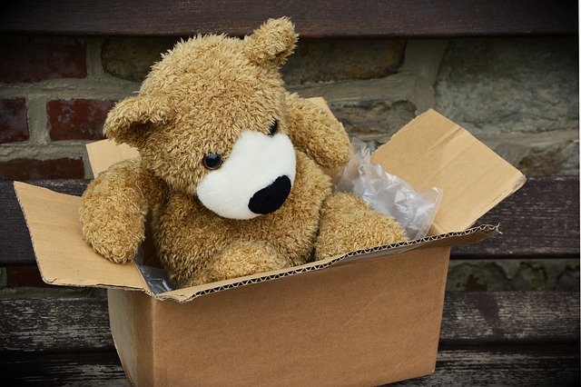 medvídek v papírové krabici.jpg
