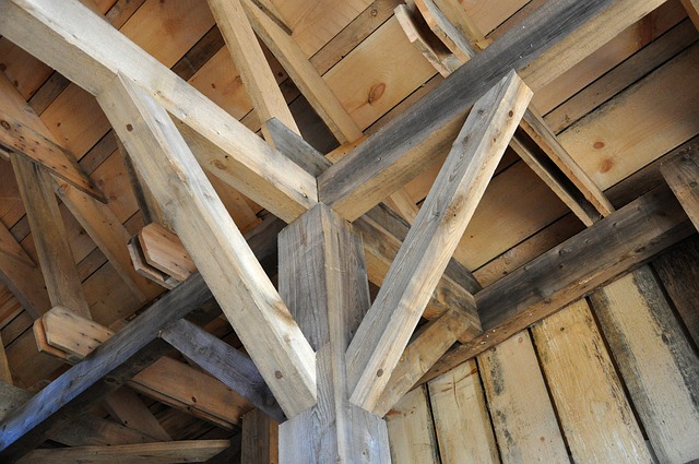 dřevo jako stavební materiál